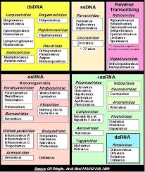 pin on microbiology