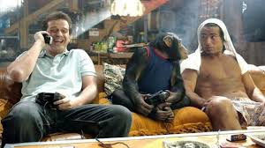 To help, we've plucked out the 50 best. The Best Stoner Movies On Netflix To Watch In Honor Of 4 20 Metro Us