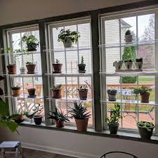 hanging window plant shelves