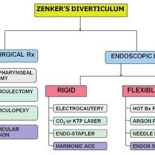 Maybe you would like to learn more about one of these? Endoscopic Appearance Of Zenker S Diverticulum Esophageal Lumen With Download Scientific Diagram