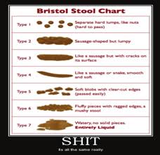 bristol stool form scale download scientific diagram