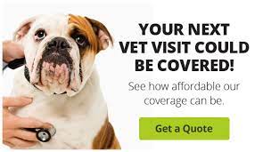 Vca murphy road animal hospital. City Pets Animal Care 1016 Jefferson Street Nashville Vet Directory