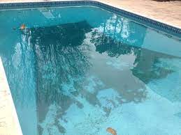 Many municipalities have levels of phosphates in their water that are safe for human consumption, but can be detrimental to coral health. Phosphates In My Pool