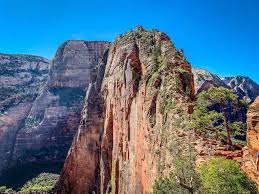 Summer afternoons are hot — pizza rolls fresh out of the microwave hot — so get up early in the morning while. Hiking Angels Landing In Zion National Park Solo Family Can Travel