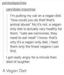 I've tried every brand of kidney formula, both dry and wet food, and she absolutely refuses to eat any of it. Paintedspectres Cannibals Insomnia I M Putting My Cat On A Vegan Diet How Could You Do That That S Animal Abuse No It S Not A Vegan Only Diet Is Actually Very Healthy For Them Cats