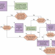 The most common causes of constipation include a change in. Pdf Diagnosis And Treatment Of Chronic Constipation A European Perspective