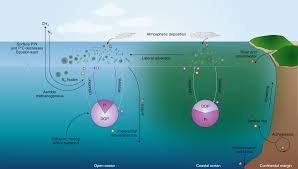 We did not find results for: Phosphorus As An Integral Component Of Global Marine Biogeochemistry Nature Geoscience