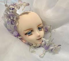 Купить ddh09 dollfie dream dd volks semi white (355416230477), США