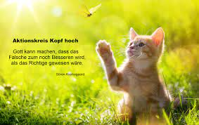 Aktionskreis Kopf Hoch Posts Facebook