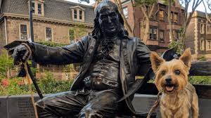 1242 lombard st, philadelphia, pa 19147. Home Little Dog Big Philly