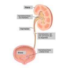 Prostata Blasen Und Nieren Behandlung Urologie Am Nordkopf In Wolfsburg Dr Med Kai Huter