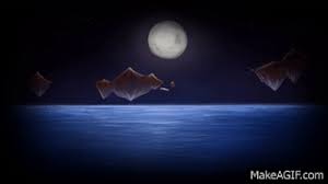 Check spelling or type a new query. Steam Background On Make A Gif