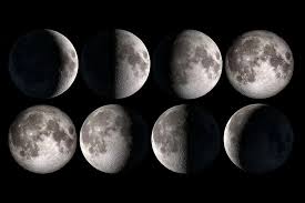 Zodia leu are noroc în dragoste în luna august 2021, dacă e să ne uităm mai ales la a doua parte a lunii. Care Sunt Fazele Lunii 2021 Thepoc
