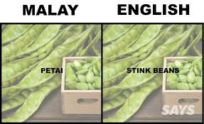 Anda boleh cuba menggunakannya dalam karangan untuk meningkatkan prestasi anda dalam penulisan. What S Pandan And Ciku In English We Dug Up Translations Of 16 Produce Malaysians Love