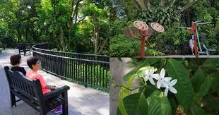 While the other parts of the southern ridges are hortpark, kent ridge park and labrador park are more well known, don't put. New Telok Blangah Park Has 40m Long Deck With Forest View Therapeutic Garden Mothership Sg News From Singapore Asia And Around The World