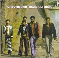 Greyhound (Album, Pop Reggae ...