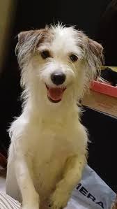 Time: 01:00 Yango k350 Shishita k50 Better Naya na shishita