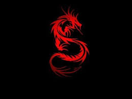 Pin On Tiger N Dragon Wallpaper