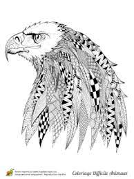 coloriage et illustration d une tete aigle dessin dessins au marqueur voitures