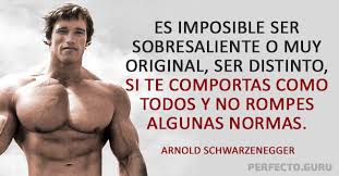 Resultado de imagen para ARNOLD SCHWARZENEGGER TERMINATOR FRASES
