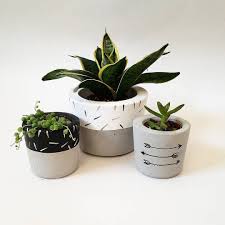 Cactus Diy Panosundaki Pin