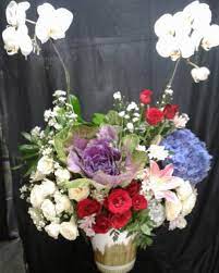 We did not find results for: Toko Bunga Plastik Terdekat Floristbagus Gratis Ongkir Terpercaya