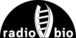 .bio bio ➥ 95.1 fm, chile — internet radio online. Radiobio