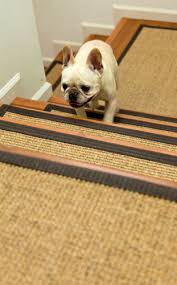 Custom stair treads, any size, any color, any pattern, oval shaped braided rug style stair runners, stair pads, step treads, carpet treads. Stair Treads For Dogs Natural Area Rugs