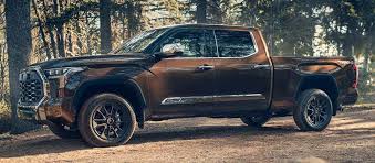 Image result for Tundra Brown 2015 Audi