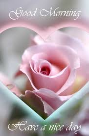 Pin By Diane De Feyter On Good Morning Good Morning Flowers Beautiful Flowers Beautiful Flowers Wallpapers