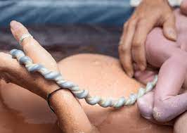 Delay Cutting The Cord For Best Birth Outcome Hypnobirthing Hub