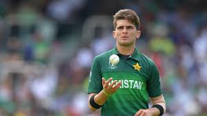 Image result for shah afridi