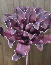 Protea (1) prunus (1) queen anne's. Artificial Soft Flowers For Your Business Buy At H Andreas