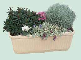 Llachetez vos plantes retombantes en ligne à petit prix sur ma petite jardinerie direct producteur en stock, livraison rapide satisfaction client 100% ! Jardinieres Aux Feuillages Persistants