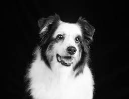 Finding a Better Way for Zora