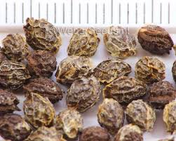 Image result for Carica