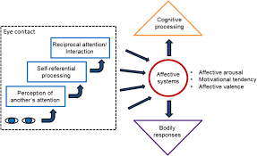 The july 2020 issue includes special sections titled. Frontiers Affective Eye Contact An Integrative Review Psychology