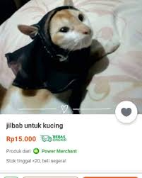  19 Bapack2 Ideas Quotes Lucu Jokes Quotes Text Jokes