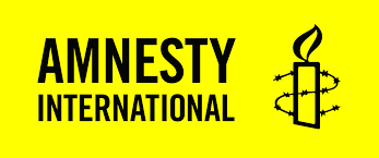 A decision by a government that allows political prisoners to go free: Amnesty International Wikipedia
