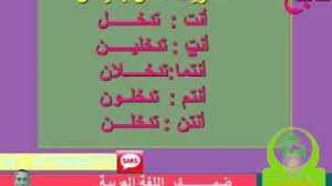 ضمائر المخاطب اللغة العربية صف سادس