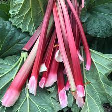 I had a nice robust crown of it at one point but one of my father in law's cows tramped on it in july and killed it dead as can be. Plant These Vegetables And Herbs For Early Results This Spring Or Next