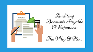 Accounting involves tracking, reporting, and analyzing financial transactions. Auditing Accounts Payable And Expenses A Guide Cpa Hall Talk