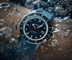 Image result for diving watch