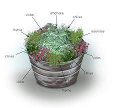10 Container Herb Garden Ideas Brilliant And Stunning Container Herb Garden Artichoke Plants Herb Garden Design