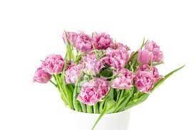 Try the suggestions below or type a new query above. Blumenstrauss Von Rosa Tulpen Im Eimer Frische Fruhlings Ostern Blume Fototapete Fototapeten Myloview De