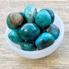 Image result for Chrysochloa