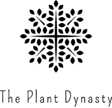 Flower black and white plant line drawing plant. The Plant Dynasty Webshop For All Your Rare Plants