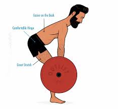Tables of romanian deadlift strength standards for men and women. The Romanian Deadlift Guide Outlift