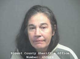 WALDRON, PENNY LANE Charges: DOMESTIC ASSAULT This information and more is  available https://apps.myocv.com/share/a95737804