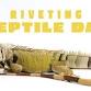 Riveting Reptile Day